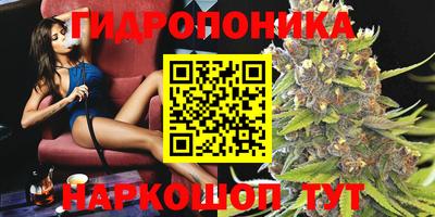ГАЛЛЮЦИНОГЕННЫЕ ГРИБЫ Краснознаменск