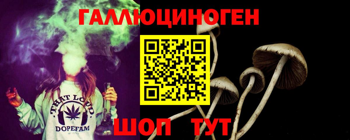 где купить наркотик  Галлюциногенные грибы ЛСД  Галлюциногенные грибы Psilocybe  Вход с VPN  Кемерово 